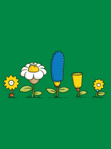 Spring Field