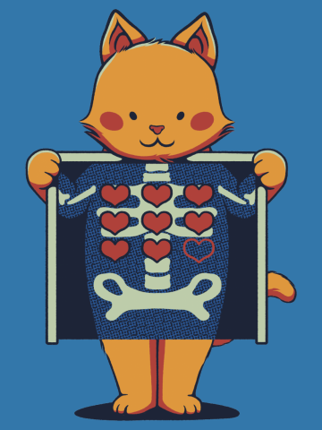 Cat X-Ray 9 Lives