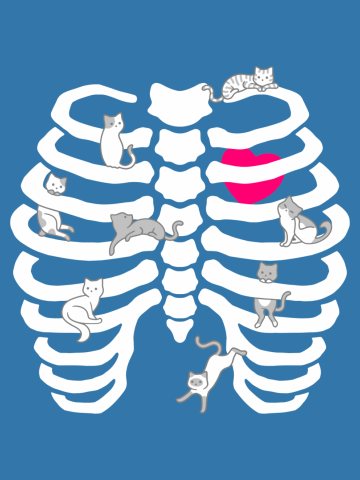Cats and Bones