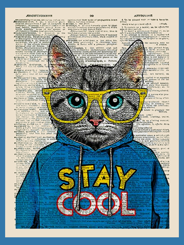 Coolin Cat
