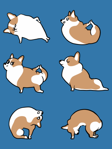 Daily Core Workout Corgi