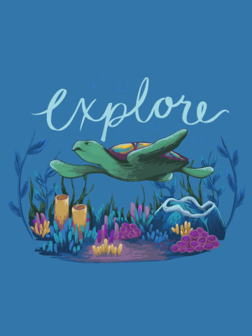 Explore (Turtle)