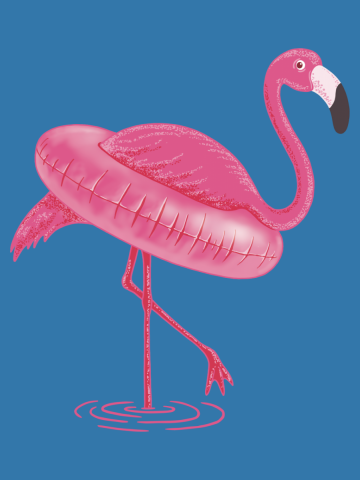 FLAMINGO & SWIMMING CIRCLE