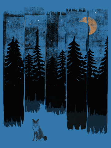 Fox in the Wild Night...