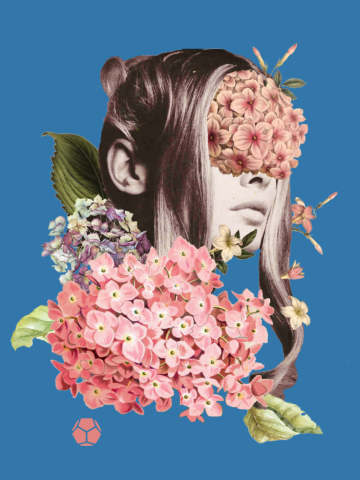 HYDRANGEA MAKES ME BLIND