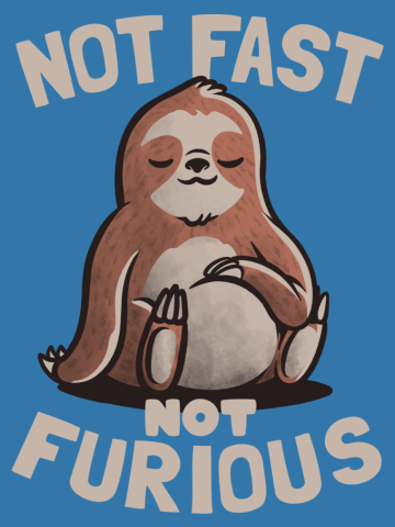 Not Fast Not Furious Lazy Cute Sloth Gift