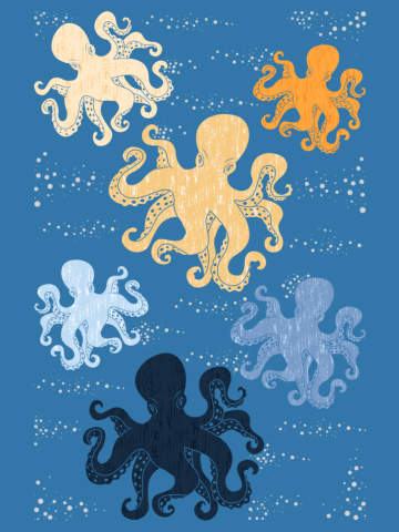 Octopus pattern