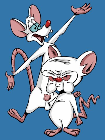 Pinky and the Brain