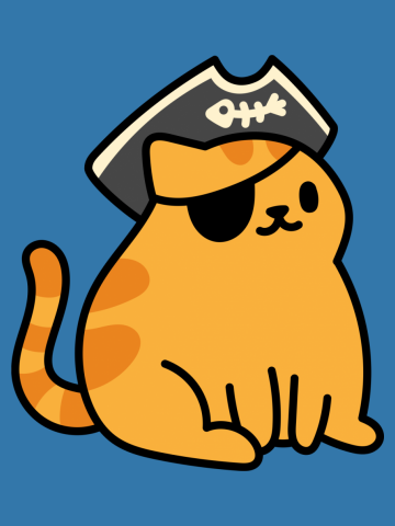 Pirate Kitty