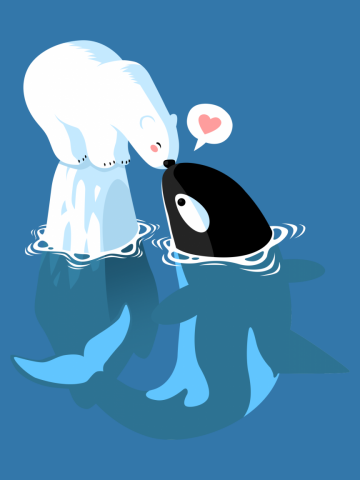 Polar bear and killer whale