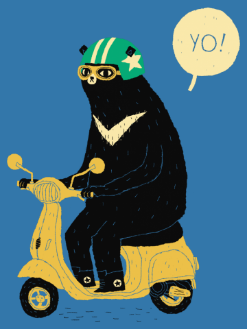 Scooter bear