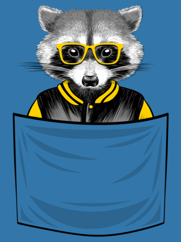 Student raccoon in pocket