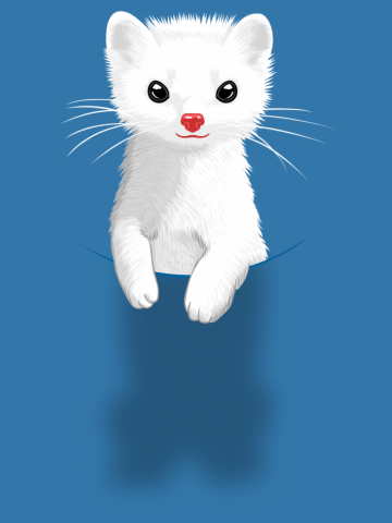 Taking a ferret with you