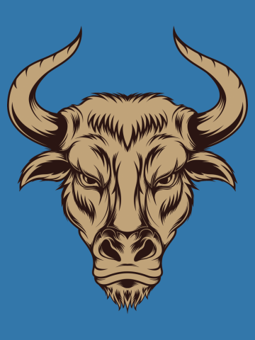 Vintage Buffalo