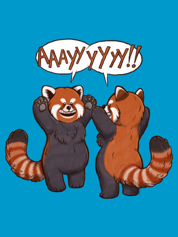 Ayyy Red Pandas!