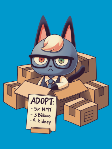 Cat in Boxes