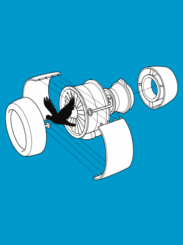 Jet engine victim