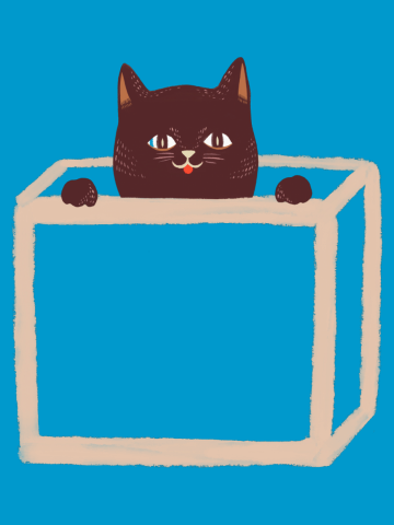 Kitty 1 Say Hi