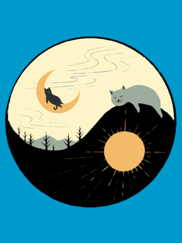 Kitty 5 day night moon & sun