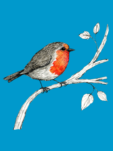 Robin pen and ink with watercolor