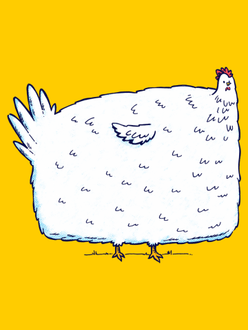 Absolute Unit of a Chicken