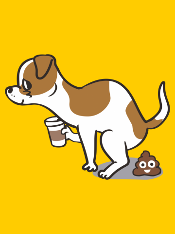 Coffee makes me poop  Jack Russell Terrier