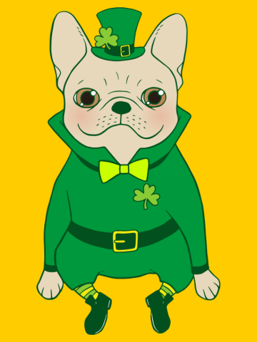 Cute French Bulldog is Feeling Lucky on St. Patrick's Day