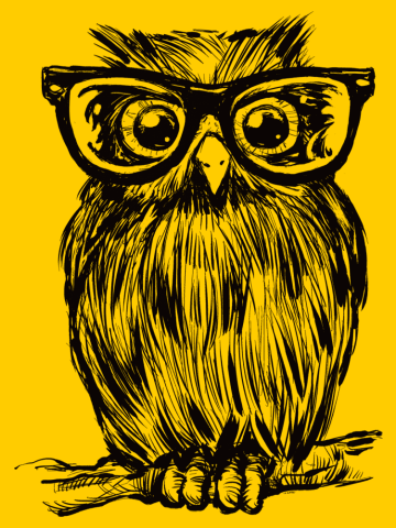 Cute Owl with Glasses