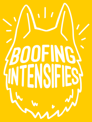 "Don't Boof."