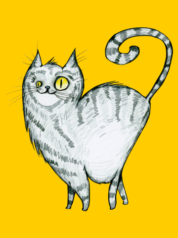 Grey curvy proud cat with stripes