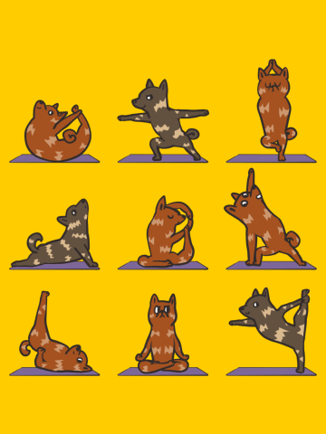 Kai Ken Yoga