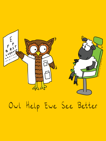 Owl Help Ewe See Better - Optometrist helping a Sheep