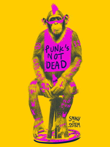 Punk's Not Dead (Never Mind the Colours)