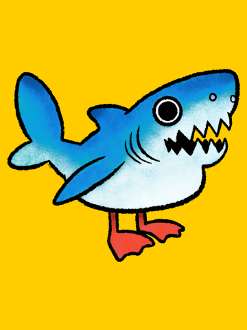 Shark Gull