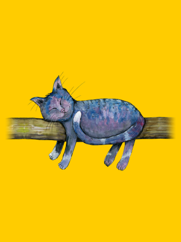 Sleeping purple cat