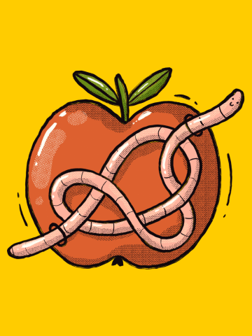 Twisted Apple Worm
