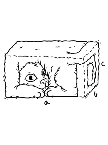 3D Cat