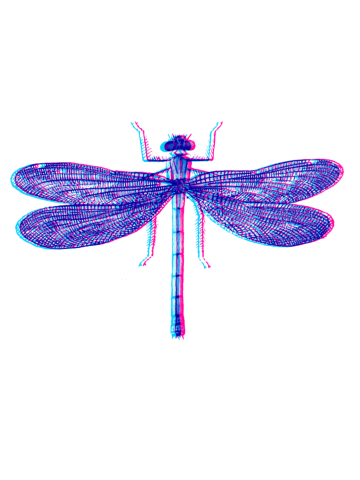 3D DRAGONFLY