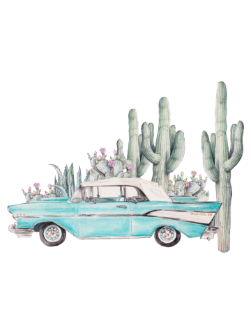 57 Chevy Vintage Car with Cacti Desert Flowers