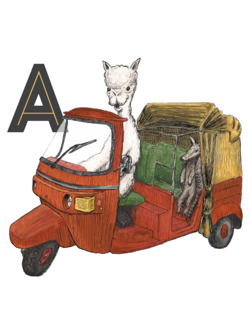 A is for Alpaca and Armadillo in an Autorickshaw