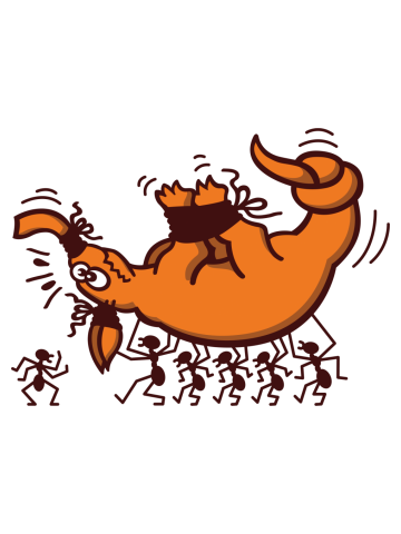 Aardvark in trouble when kidnapped by a group of bold ants