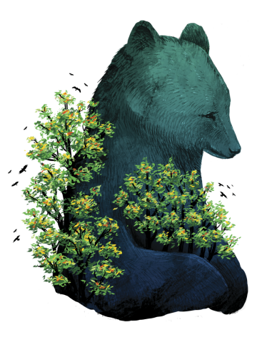 Abraçando A Natureza
