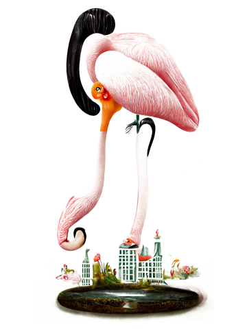 Abstract Flamingo
