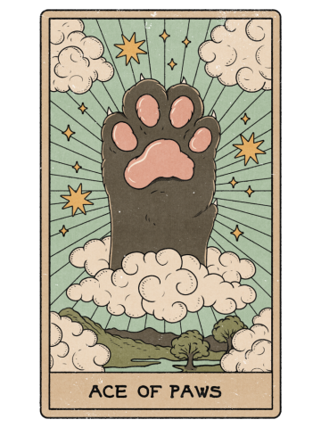 Ace of Paws