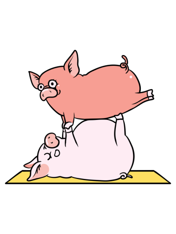 Acroyoga Pig