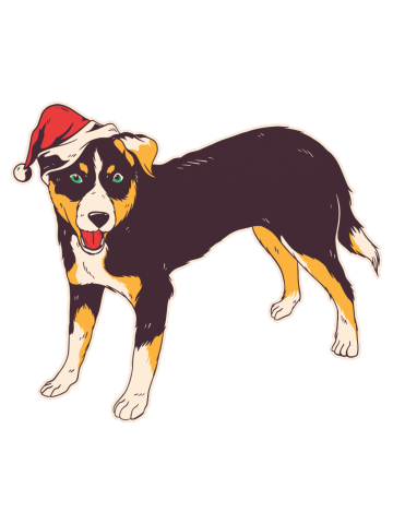 Adorable Christmas Tri-Colored Dog