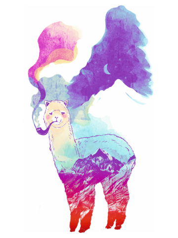 Alpacas dream in the Himalayas
