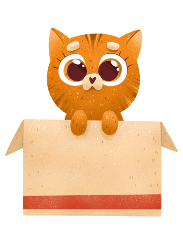 Anfiska in box