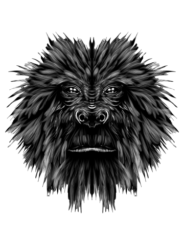 Ape