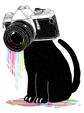 Aperture color cat
